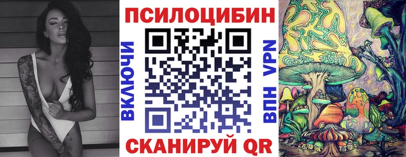 ОМГ ОМГ зеркало  Сосногорск  Псилоцибиновые грибы Psilocybine cubensis 